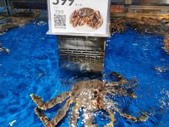 -盒马鲜生(枣园路店)
