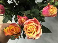 -Butchart布查德鲜花(花艺设计中心)