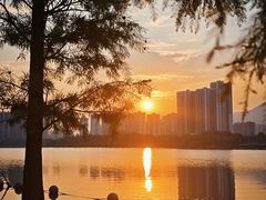 -飞来湖湿地公园
