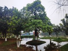 -飞来湖湿地公园