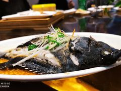 清蒸活深海鱼-同君福大酒楼(紫新路店)