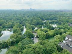 -西溪国家湿地公园