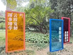 -玲珑塔公园