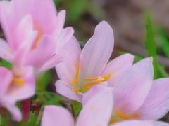 -白鹭湾湿地公园