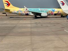 -南京禄口机场雅高铂尔曼大酒店