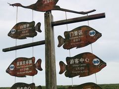 -北海金海湾红树林生态旅游区