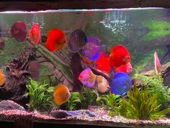 -上海海洋水族馆