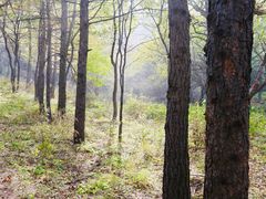 -阳台山自然风景区