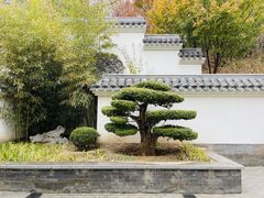 -北宫国家森林公园