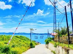 -大长山岛