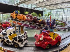 -南宫五洲植物乐园