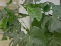 -N1 健身·拳击·综合馆(嘉美中心店)