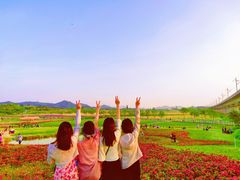 -光明小镇欢乐田园