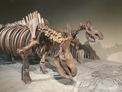 -大庆市博物馆