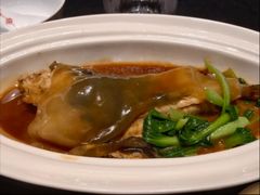 -新光酒家·河豚·海鲜·蟹料理(浦东店)