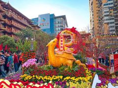 -越秀西湖花市(广州城市广场花卉店)