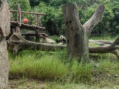 -宁波野生动物园
