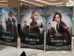 -万象影城(石家庄万象城IMAX激光店)