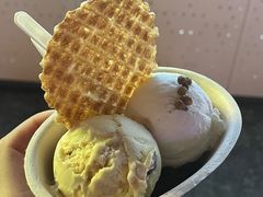 -Mint Gelato(二厂店)