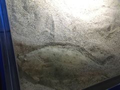 -鹿儿岛水族馆