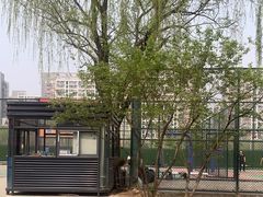 -回龙观体育文化公园