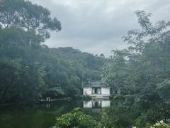 -深圳国际园林花卉博览园