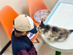 -纳吉亚猫专科动物医院博雅分院
