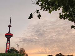 -南京古林公园