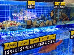 -厝包四点金·潮宴(太古仓店)