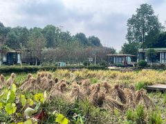 -洪湖家庭农场·团建·露营·会议