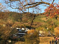 -塔川景区