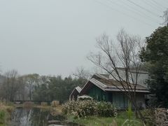 -西湖风景区-江洋畈生态公园