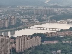 -风云岭森林公园