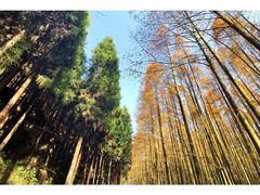 -山王坪喀斯特国家生态公园
