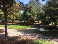 -石家庄市植物园