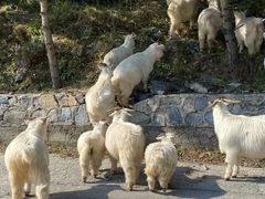 -白草畔自然风景区