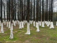 -艾溪湖湿地公园