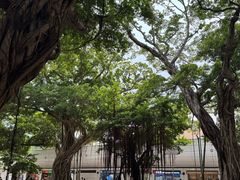 -麦文记面家(佐敦店)