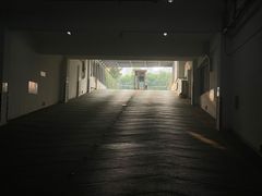 -猫里有甜