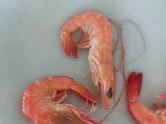 -庄子梦然·城市微度假·24h按摩·推拿·spa