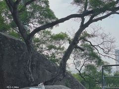 -鸿山公园