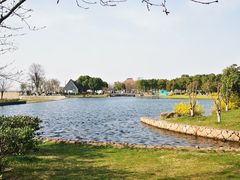 -滆湖低碳生态公园