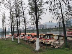 -飞来湖湿地公园