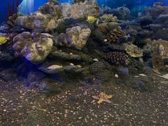 -浙江自然博物院(杭州馆)