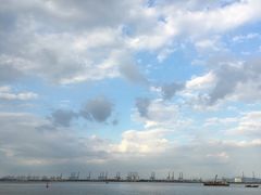 -大湾区中央湿地公园