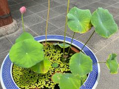 -万寿八仙宫