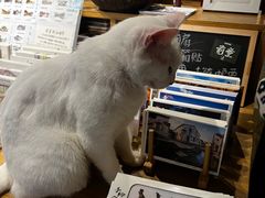 -新月集庭院咖啡馆(老邮局店)