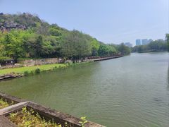 -绍兴镜湖国家城市湿地公园