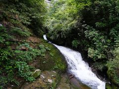 -鹿院坪生态旅游景区
