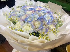 -朝来春花卉市场